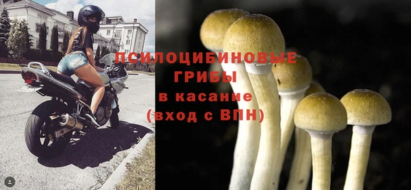 ALPHA-PVP Аркадак