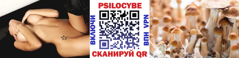 Галлюциногенные грибы Magic Shrooms  купить наркотики цена  omg вход  Пучеж 